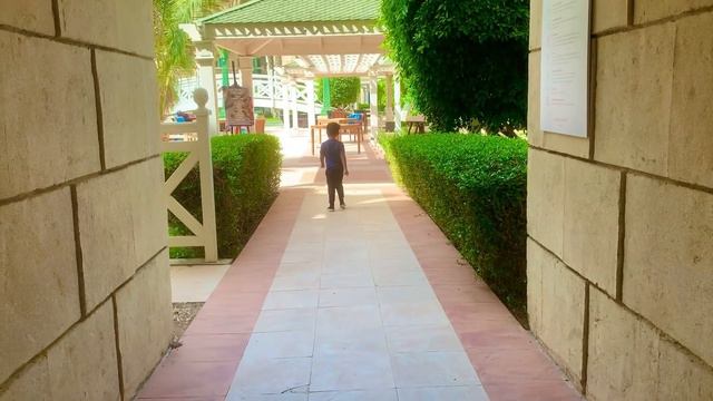 Stay at Grand Hayatt Muscat смотреть онлайн