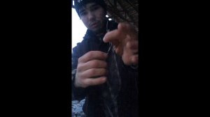 Соединение проводов электроизгороди