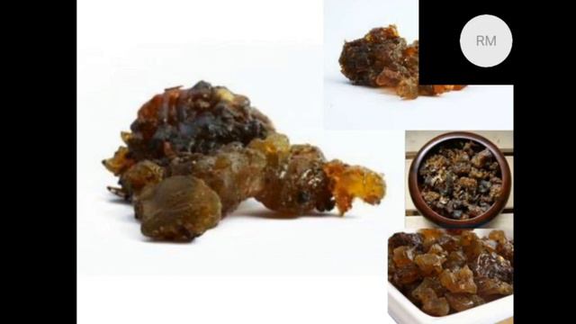 Lesson 12. Properties of Medical Plants смотреть онлайн