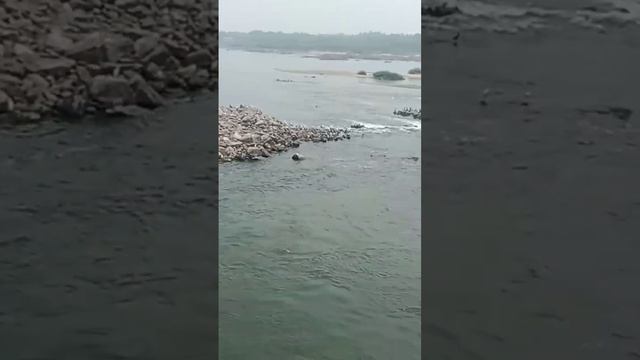 Mayanur River Dam || Fresh Water Fall Natural || Trichy Boarder Road Way смотреть онлайн