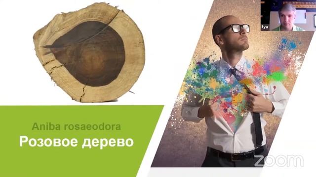 розовое дерево смотреть онлайн
