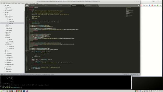 GoLang,VueJS - WebApp series [009] - Server-Side JWT Generation/Decryption Routes DB Authentication смотреть онлайн