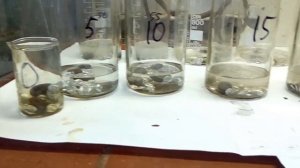 Травим железо серной кислотой. Эксперимент.