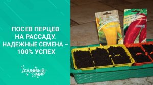 Посев перцев на рассаду. Надежные семена – 100% успех