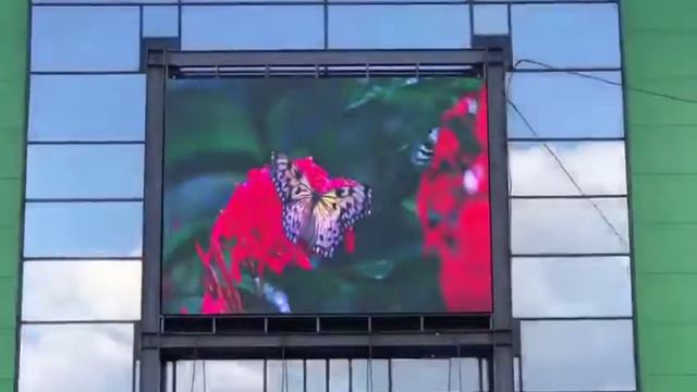 Видеоэкран для ТЦ Кипарис смотреть онлайн
