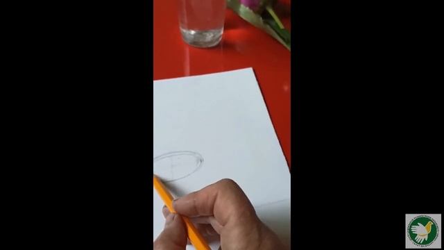 Графика - рисуем цветок смотреть онлайн