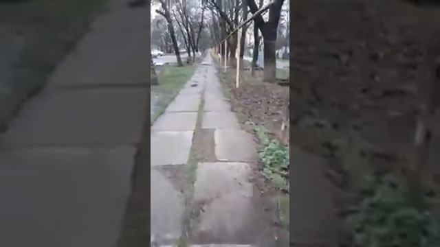 Ставропольский край.г.Железноводск.п.Иноземцево.ул.Свободы.....красота а не дороги??? смотреть онлайн