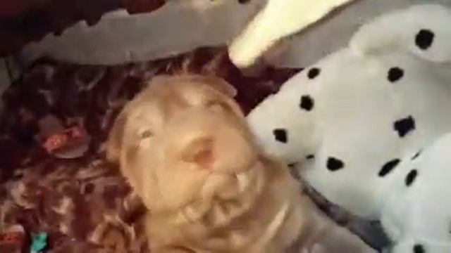 Тиночка смотреть онлайн