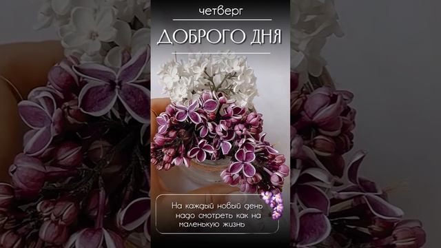 Четверг смотреть онлайн