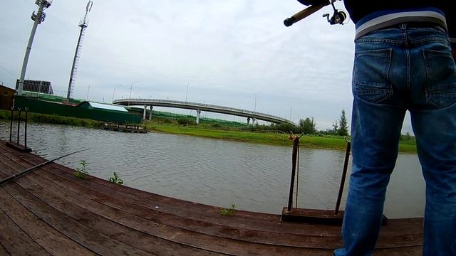 Приятное утро! Еще одна платка. Карпы на донку. смотреть онлайн