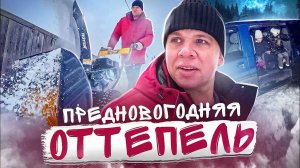 Дела житейские, предновогодняя оттепель