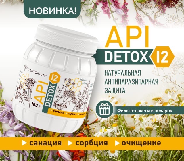 ApiDetox 12_ презентация. смотреть онлайн