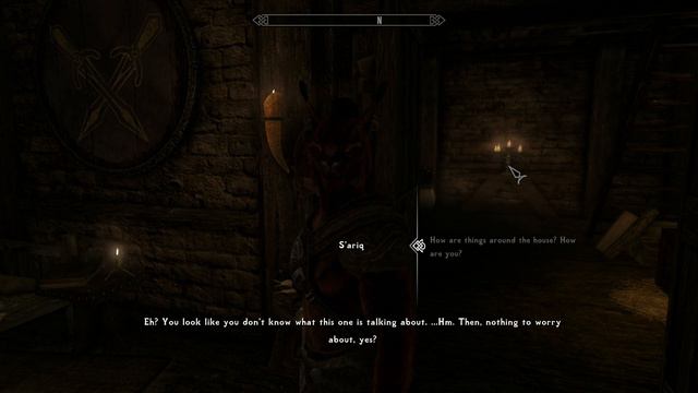 S'ariq after marriage (Khajiit will follow 4.0) смотреть онлайн