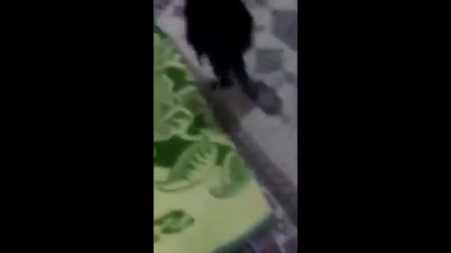 Нафаня вернулся