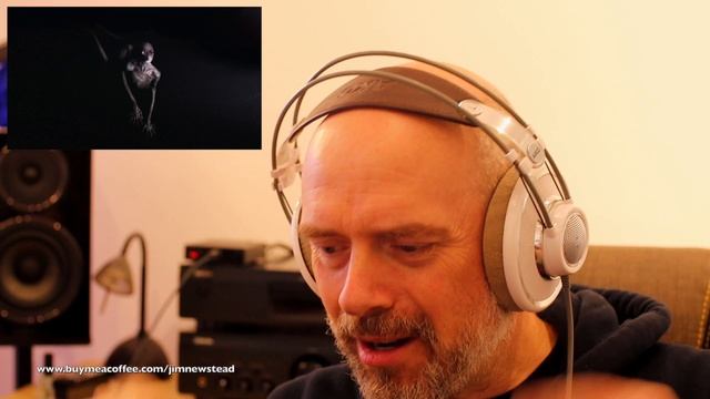 Tool: Opiate2 reaction - there ain't no scream like a Mallard scream (quack) смотреть онлайн