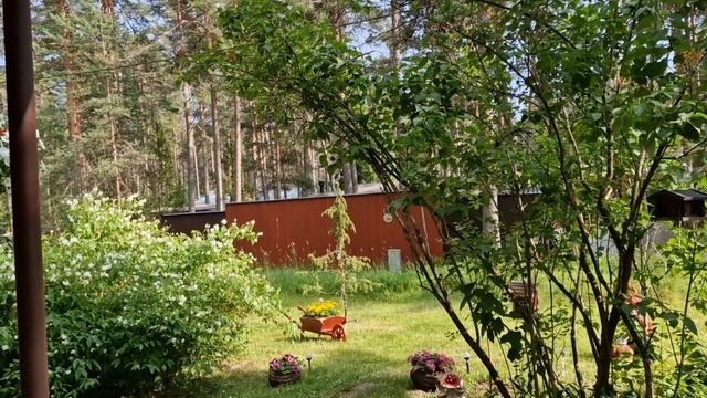 Эстония.Гроза на Чудском озере.Шум волн.Релакс видео.Чудское озеро после грозы.Мама купается.Влог