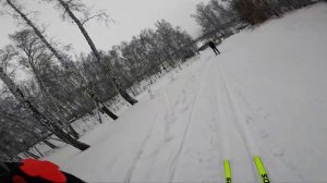 Лыжи Brados Carbon Skate. Так ли все хорошо, как в рекламе?