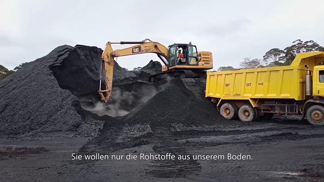 Schweizer Firma zerstört Regenwald für Kohlemine смотреть онлайн