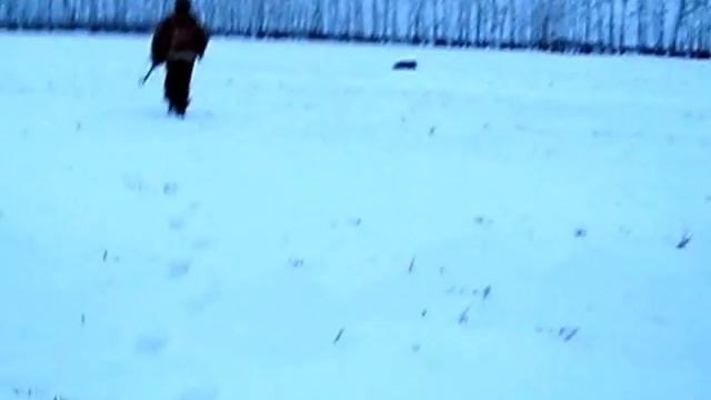 ВСЛ В Омской области