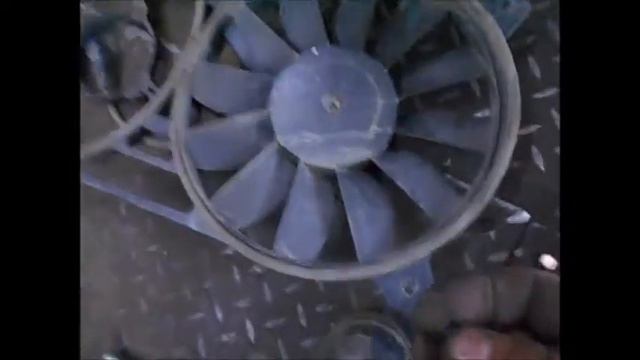 Дина Алексеева