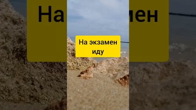 Шепоток. Успешная сдача экзамена смотреть онлайн