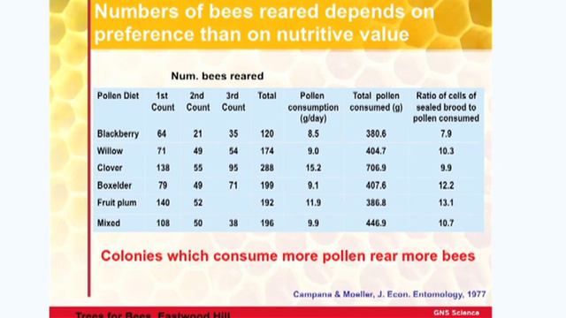 Bee Nutrition: Pollen, Nectar and Substitutes - Dr Karyne Rogers, Trees for Bees смотреть онлайн