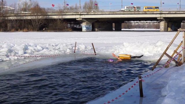 Заплыв моржей 6 февраля 2016 смотреть онлайн