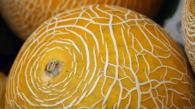 ЧТО ПОСАДИТЬ НА ОГОРОДЕ В АПРЕЛЕ || Апрель посадки на огороде смотреть онлайн