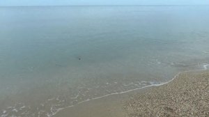 Крым. Рыбалка на барабулю на пляже.