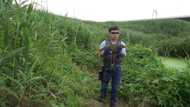 Рыбалка на стрелы.Slingshot fishing.Стрела V/S Дротик смотреть онлайн