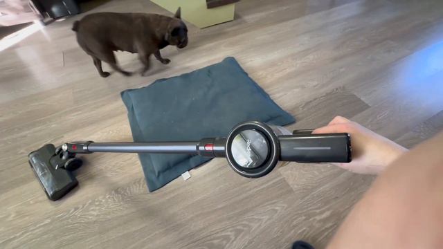 расстроен - помощниц у ПАПЫ много приходящих и уходящих, а ЛЮБИМАЯ ОДНА смотреть онлайн