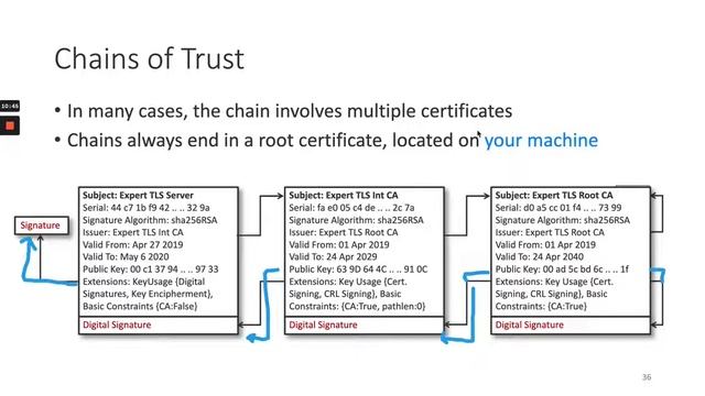 TLS Roadmap 2 смотреть онлайн