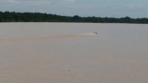 tohatsu 18hp vs suzuki 15hp