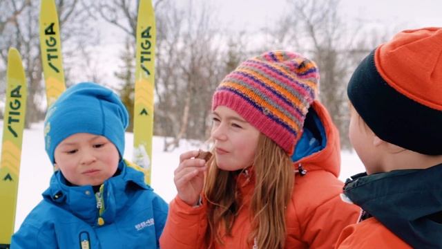 Stiga Skidor Snow Fling смотреть онлайн