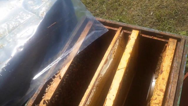 МАТКА КАРДОВАН смотреть онлайн