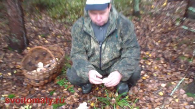 Творческий Путь