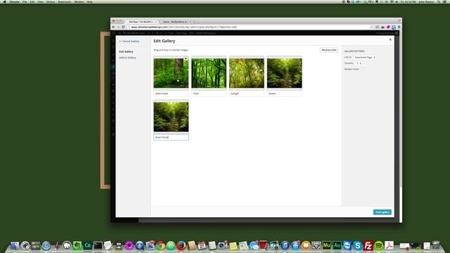 The WordPress Tutor - Creating an Image Gallery in WordPress смотреть онлайн