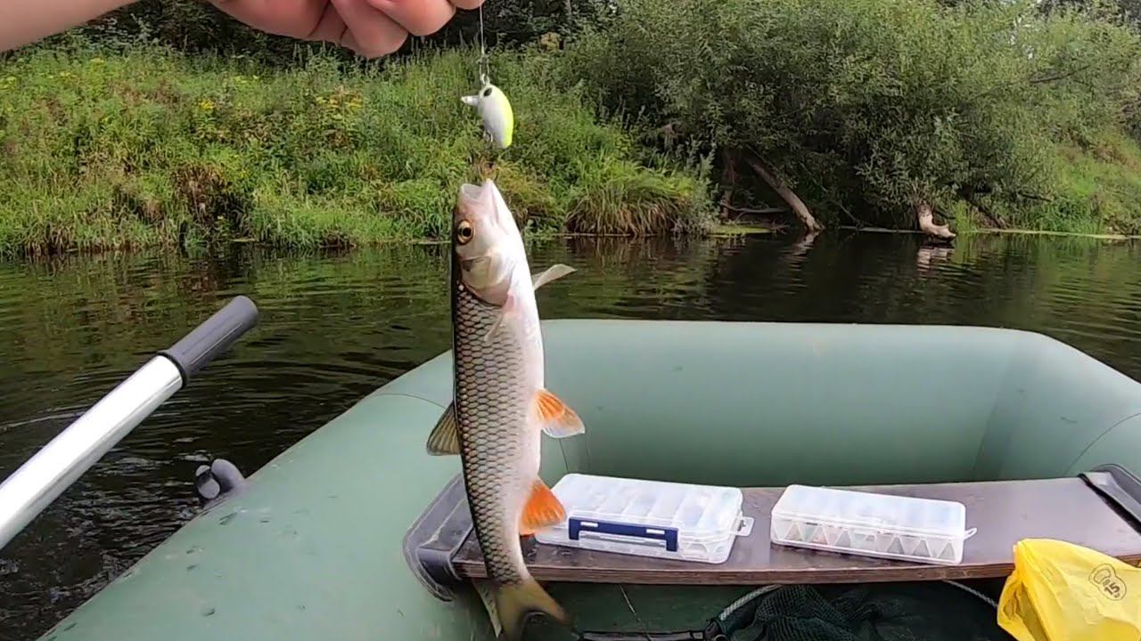 Рыбалка на голавля и окуня. Лето, малая река. смотреть онлайн