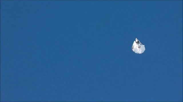 Rutube_account_221978