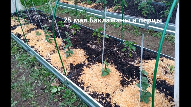 Ох, уж этот май 2023 смотреть онлайн