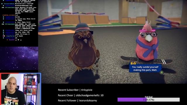 Skatebird Gameplay and First Impressions смотреть онлайн