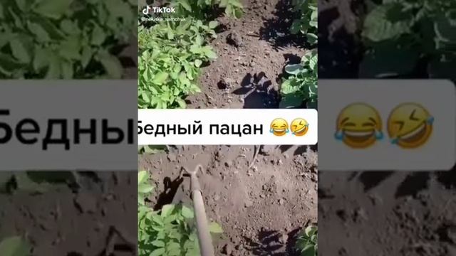 Нахера столько картошки смотреть онлайн