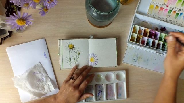 Мастер-класс #43 Фиолетовые ромашки акварелью смотреть онлайн