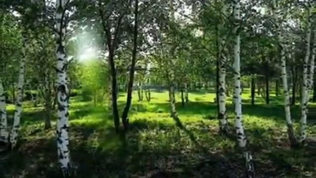 Клип к уроку С Есенин С добрым утром! wmv смотреть онлайн