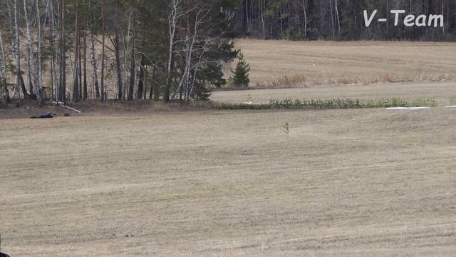 Уиппеты Охёса Айрис (K) - Ozzie Orange (C). ЧР по курсингу 2018, Екатеринбург. смотреть онлайн