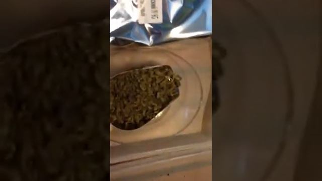 Узбекский #95 смотреть онлайн