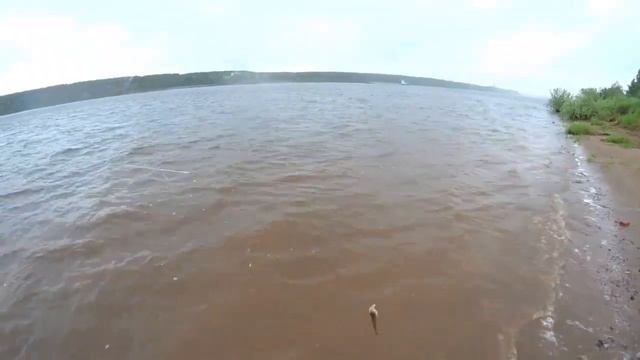 Клёв судака и окуня на резинку