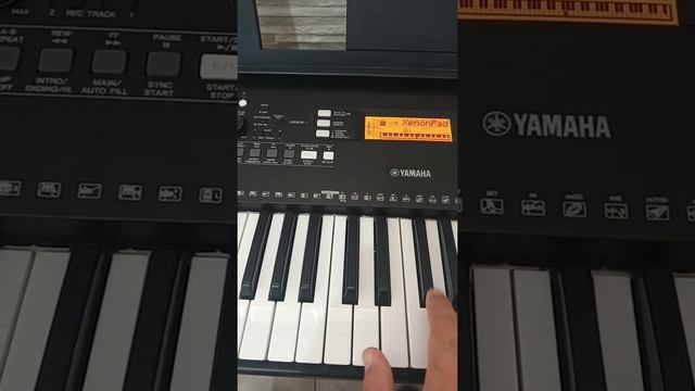 Sonidos Teclado Yamaha PSR EW300 смотреть онлайн