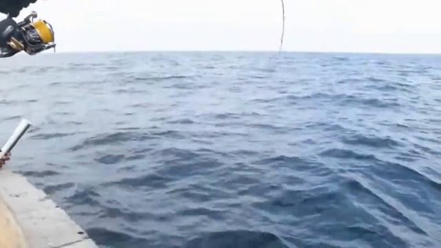 Ахота на рыбалку смотреть онлайн