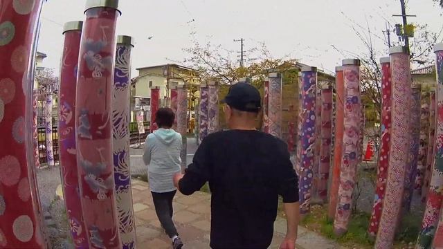 Лес Кимоно (kimono forest) смотреть онлайн